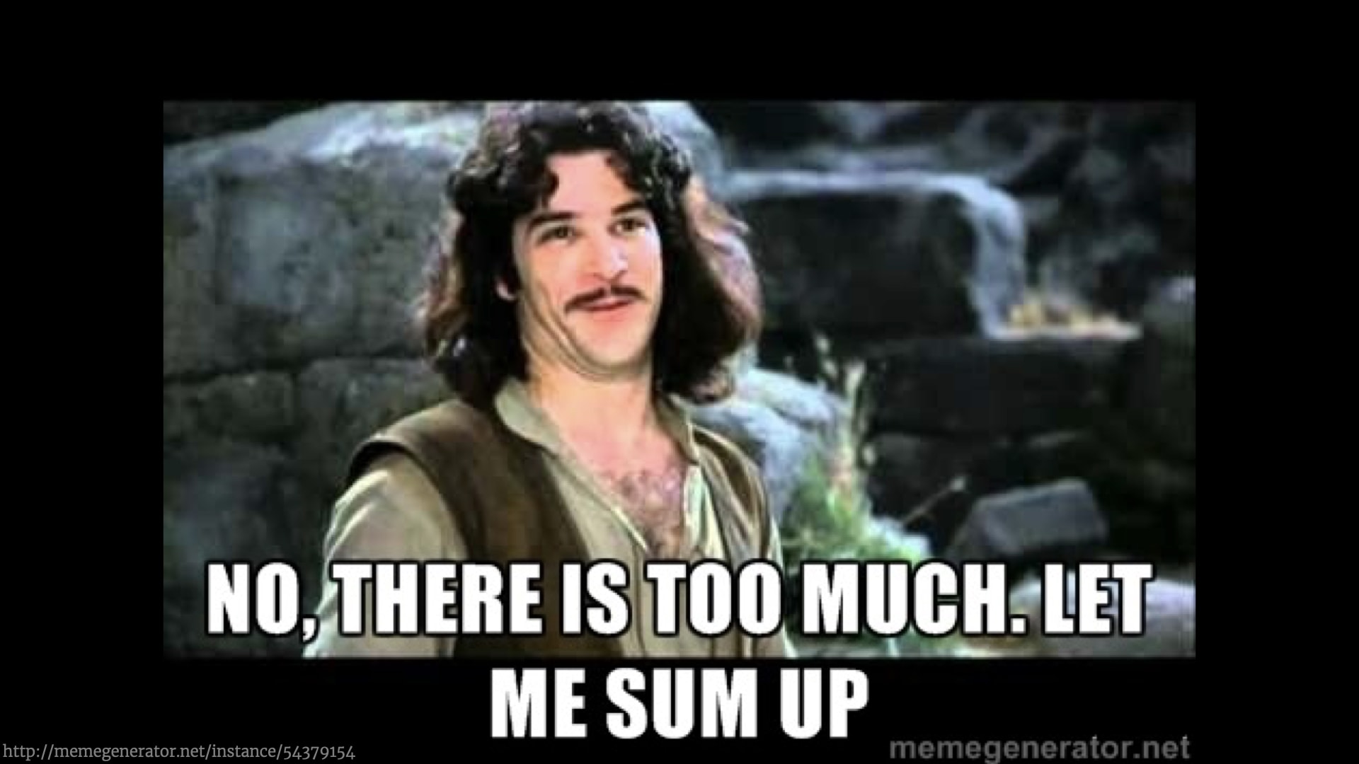 A meme style photo of the character Inigo Montoya from The Princess Bride saying 'No, there is too much. Let me sum up.'