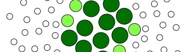 Slide from the Sturgeon's Biases talk showing abstract white and green circles of various sizes